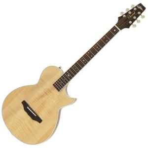 調整済 Aria アリア FEB-F2/FL アコースティックベース エレアコベース