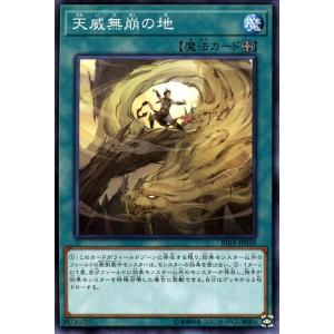 遊戯王オフィシャルカードゲーム デュエルモンスターズ 遊戯王カード