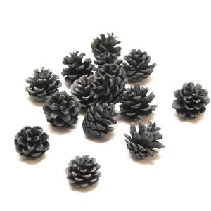 松ぼっくり/松かさ Sサイズ:約3〜5cm 50個 1セット 自然色（純国産