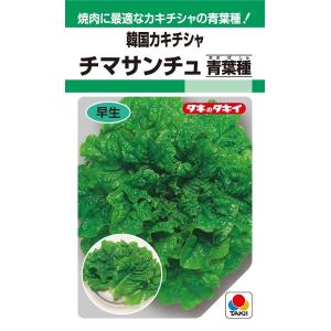 SK9-099 ブロッコリー種子 ペレット5000粒 【野菜種子】【サカタのタネ