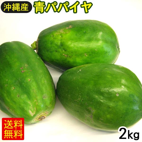 青パパイヤ 2kg 沖縄産 : 沖縄お土産通販 ここち琉球 - 通販 - Yahoo