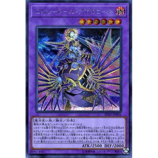card-museum_sd37-jpp01-si