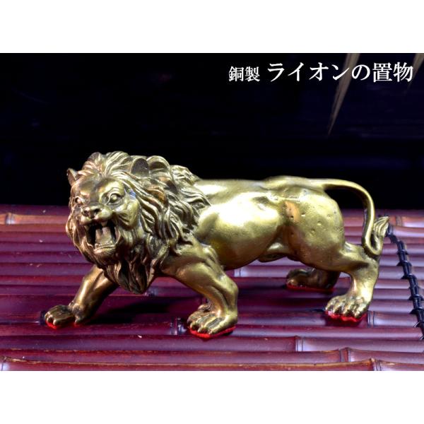 ctcols_778lion