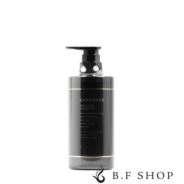 ケアネス テラケア シャンプー 500ml LSC : B.F SHOP Yahoo!店 - 通販