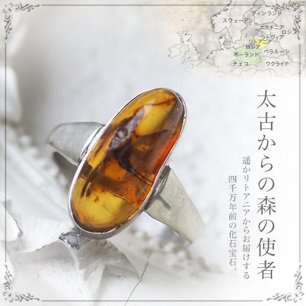 リング 指輪 虫入り 琥珀」の人気商品一覧 | 安い商品を通販サイトから