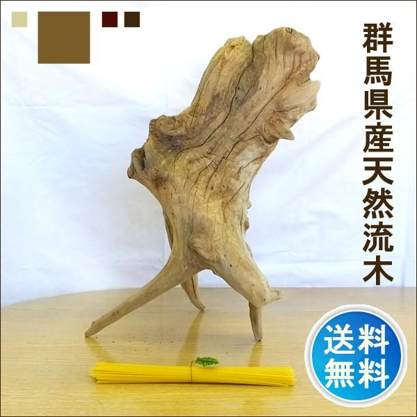 流木 販売 群馬 天然木 インテリア 中型 ryuboku-001 : 有限会社