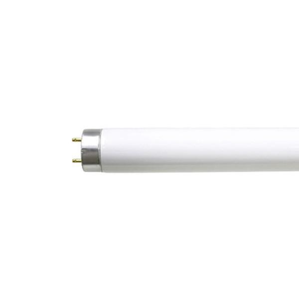 TOSHIBA（東芝） FL20SSEDC18LLN 直管蛍光灯 20W形 クリアデイライト 3