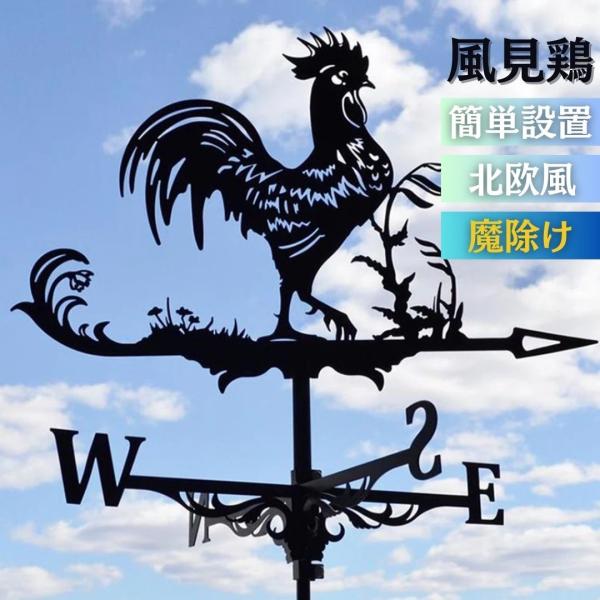 aioshop_20230707-2899