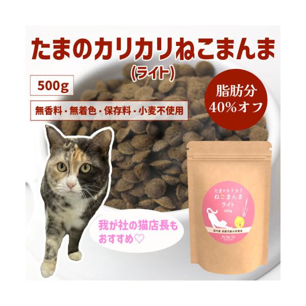 assistfood_p41-101