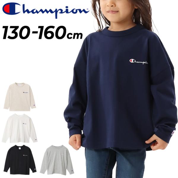 apworld_ck-y404
