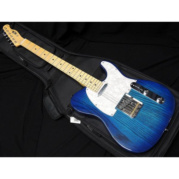 FUJIGEN（フジゲン） FGN FUJIGEN NTL10MAH-SBB Neo Classic SERIES