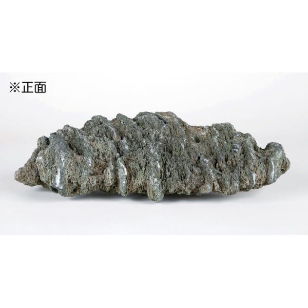 bonsaisaite_h401374
