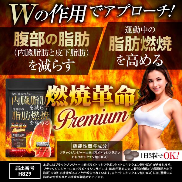 Belle ダイエット サプリメント ダイエットサプリ 燃焼系 燃焼革命