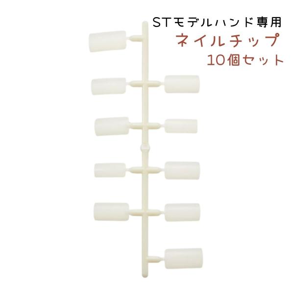 滝川（TAKIGAWA） JNEC認定ハンド用 ネイルチップ 10指 10セット ST