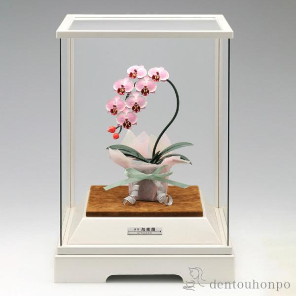 銀製 胡蝶蘭 ピンク DX 53g ( 高級 コレクション 美術品 工芸品 伝統