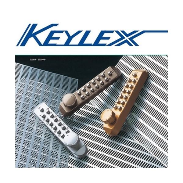 長沢製作所 KEYLEX キーレックス500 22270 片面ボタン 暗証番号式 鍵穴