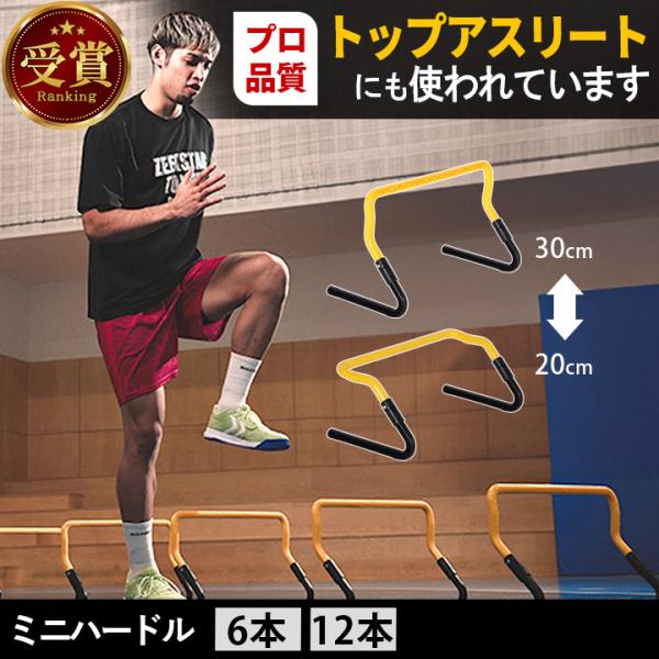 LEADING EDGE（リーディングエッジ） トレーニング ミニハードル 6個