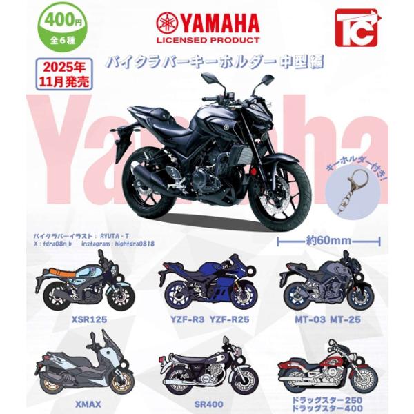 fs4869_3711tcv4