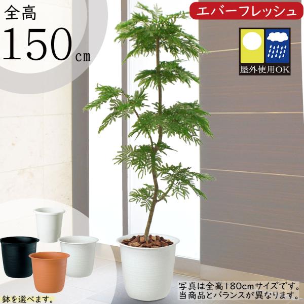 keishin_bst-0062-150