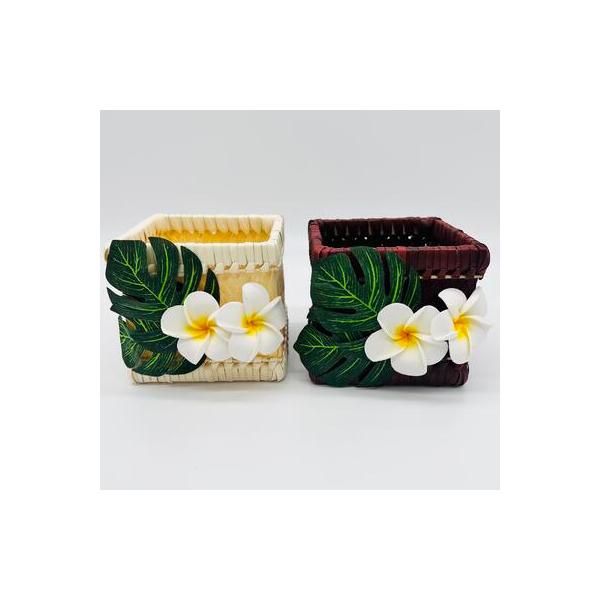 kailanialoha_10005920