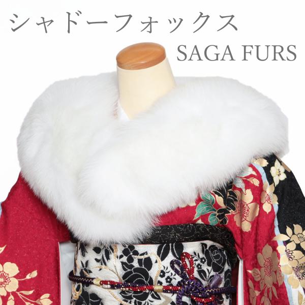 kyou-ka_b345