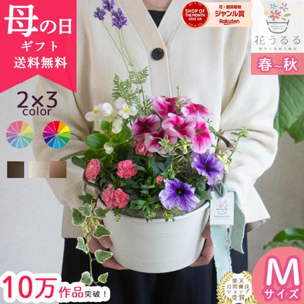 遅れてごめんね 母の日ギフト／母の日 まだ間に合う 花うるる 寄せ植え