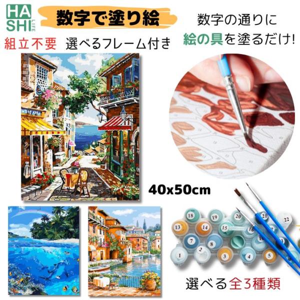 ペイントバイナンバー 大人の塗り絵 フレーム付き 選べる9種 数字油絵