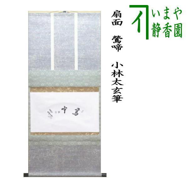 茶道具 掛軸 掛け軸 横軸 扇面 鶯啼 小林太玄筆 茶道 : 茶道具いまや