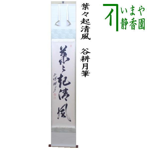 茶道具 掛軸 掛け軸 一行 葉々起清風 谷耕月筆 茶道 : 茶道具いまや