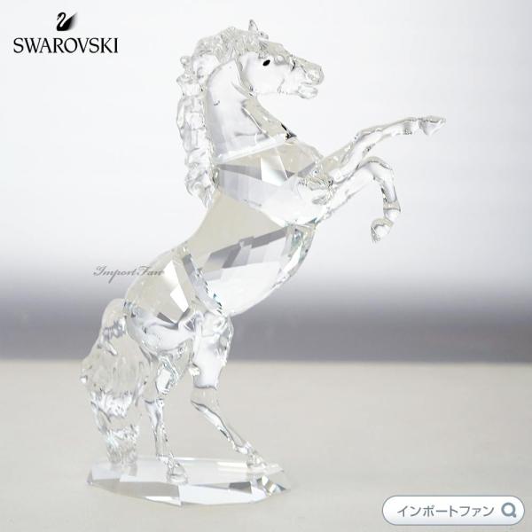 importfan_sw5470628