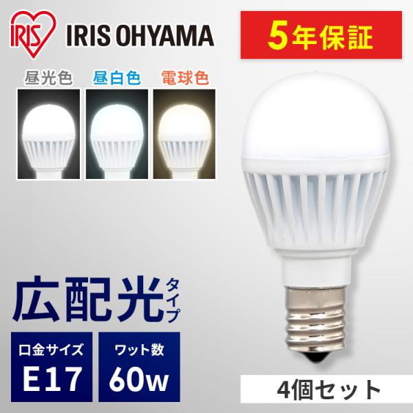 insair-y_p1903525