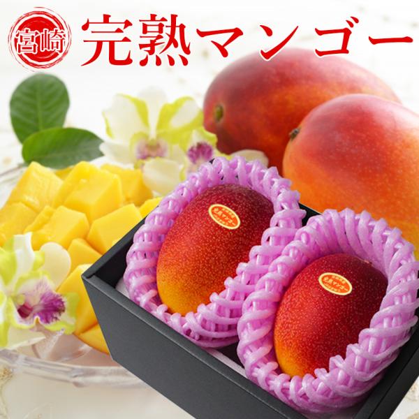 ichiba-koubou_mangom-1