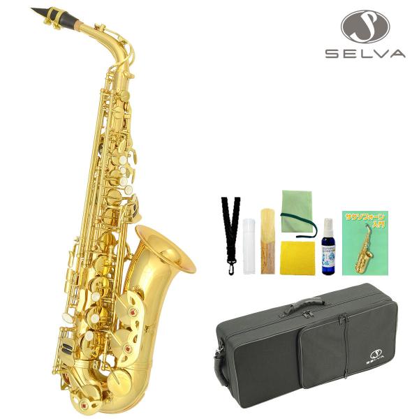 SELVA 初心者向けアルトサックス入門セット ALTOSAX SAS-100 セルバ