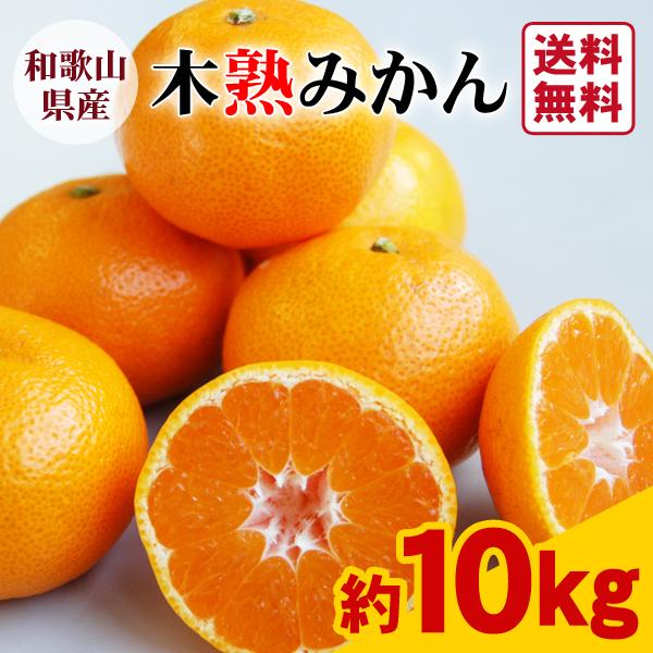 JA紀南 みかん 木熟みかん S〜Mサイズ 10kg×1箱 送料無料 お歳暮にも