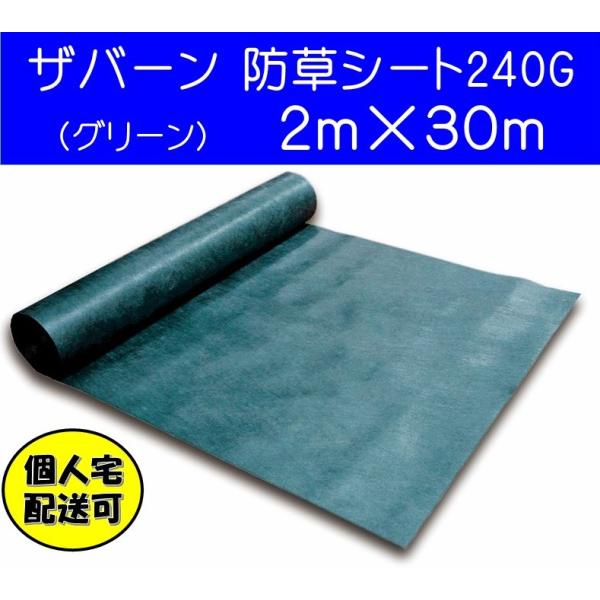 janet_eco-0011