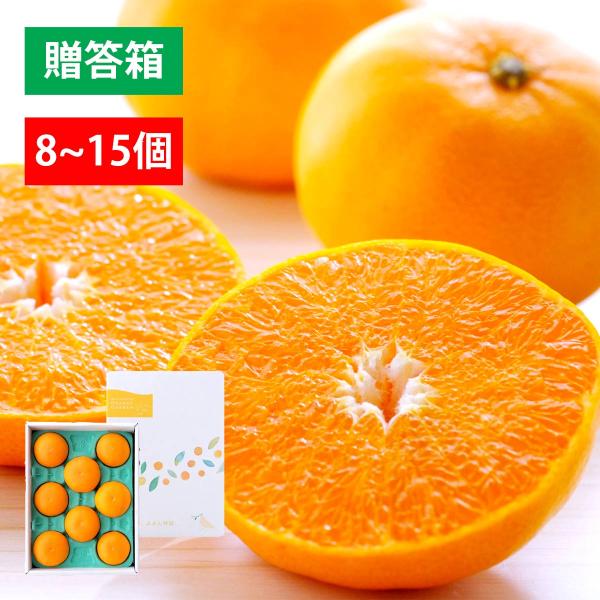 mikan-hana_setoka-z2