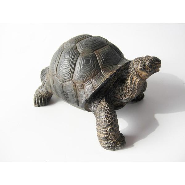 亀 カメ 置物 ペットバンク トータス Pet Bank TORTOISE : インテリア