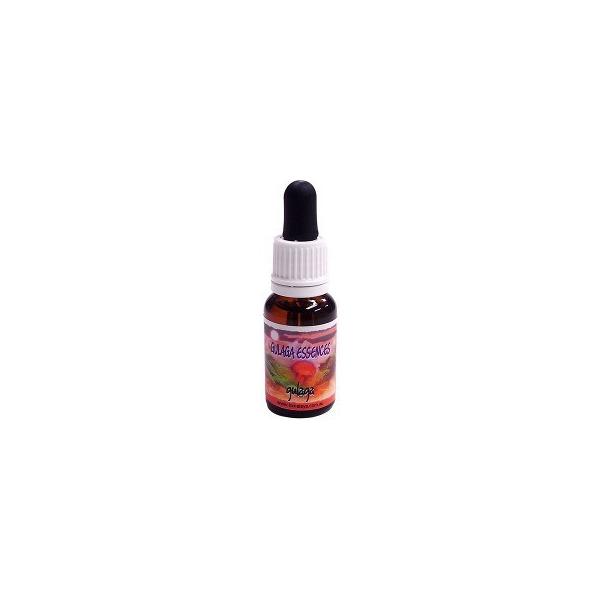 ヒマラヤン フラワー エンハンサーズ グラガ ( 15ml )/ : 爽快ドラッグ