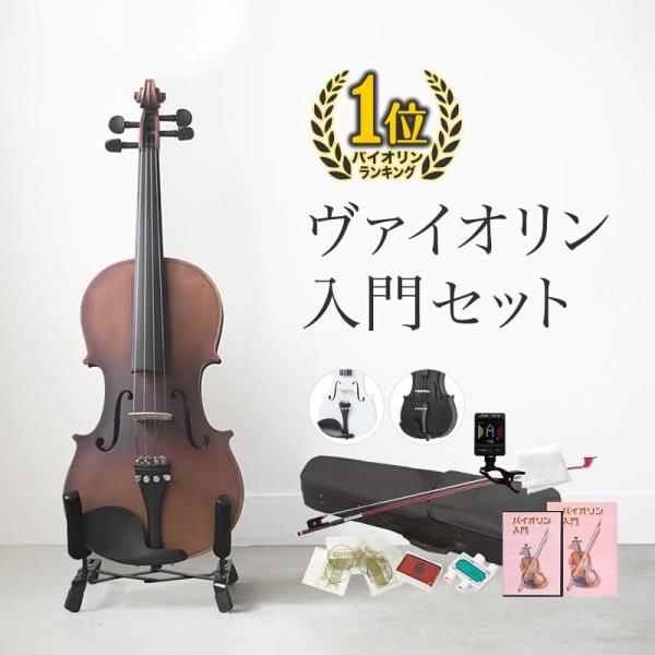 バイオリン 初心者セット Hallstatt V-12 〔ヴァイオリン 入門