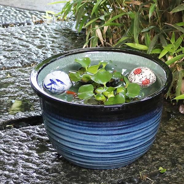 信楽焼 睡蓮鉢 メダカ鉢 おしゃれ めだか鉢 陶器 水鉢 ビオトープ