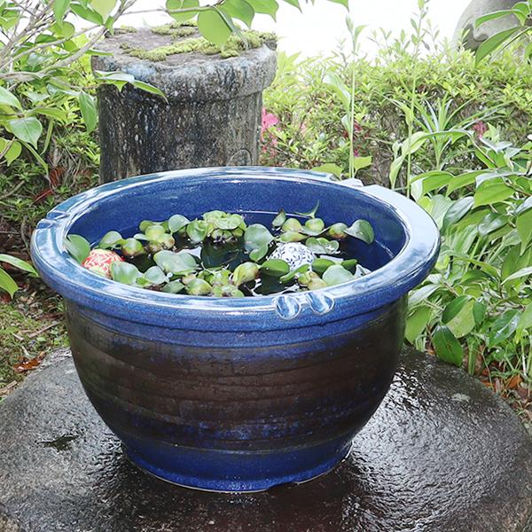 信楽焼 睡蓮鉢 メダカ鉢 おしゃれ めだか鉢 陶器 水鉢 ビオトープ