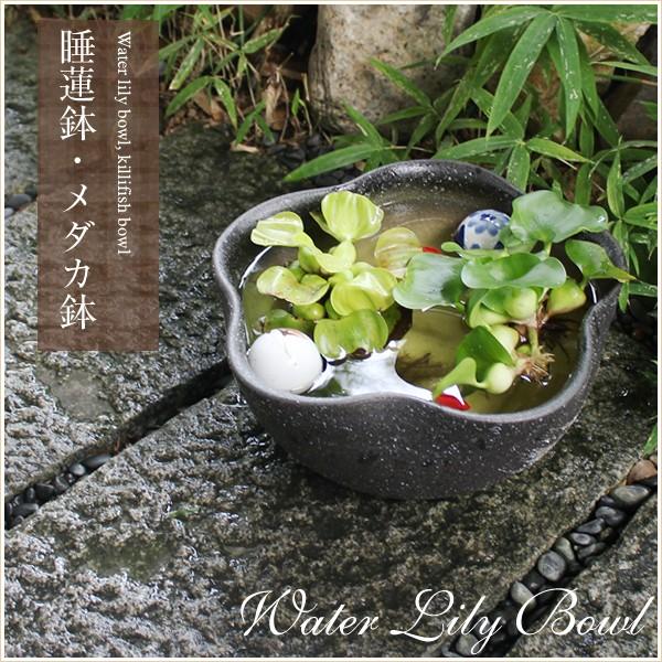 信楽焼 睡蓮鉢 メダカ鉢 おしゃれ めだか鉢 陶器 水鉢 ビオトープ