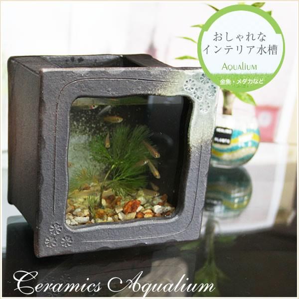 信楽焼 陶器水槽 陶器 ガラス 水槽 和風 インテリア メダカ鉢 金魚鉢