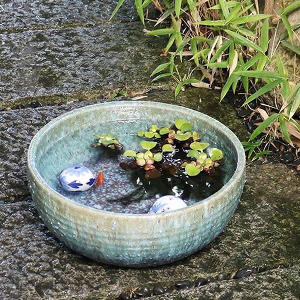 信楽焼 睡蓮鉢 メダカ鉢 おしゃれ めだか鉢 陶器 水鉢 ビオトープ