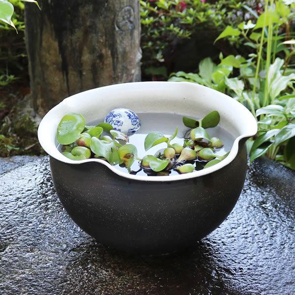 信楽焼 睡蓮鉢 メダカ鉢 おしゃれ めだか鉢 陶器 水鉢 ビオトープ