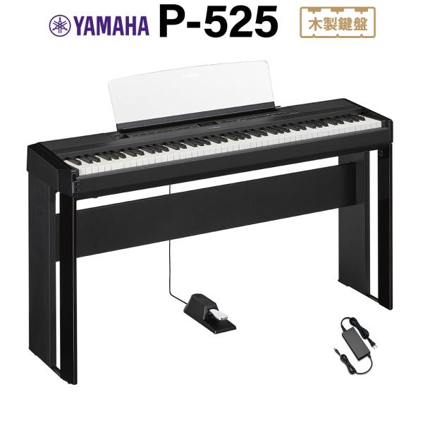 shimamura_mt0154605