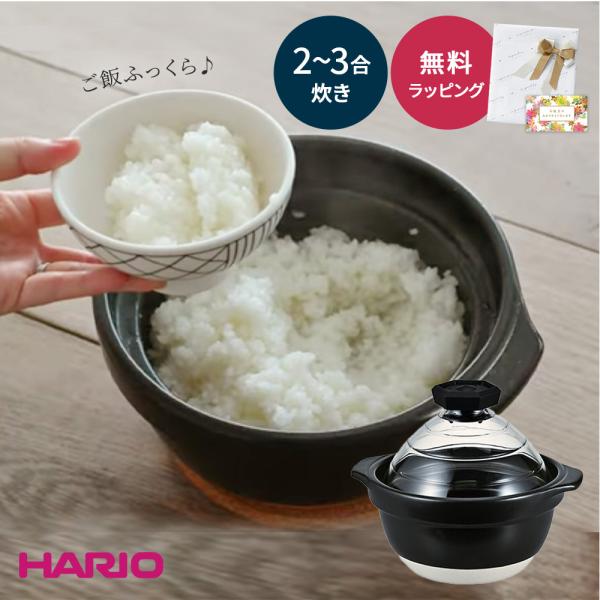 HARIO（ハリオ） 土鍋 ご飯釜 ご飯鍋 フタがガラスのご飯釜 2合 3合