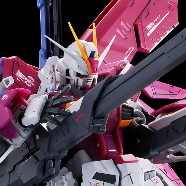 BANDAI（バンダイ） 【即納新品】RG 1/144 デスティニーインパルス