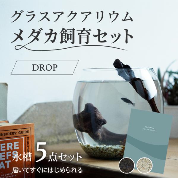 pinto-store_set0003