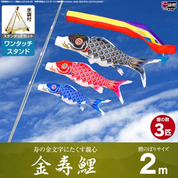 こいのぼり スタンド セット」の人気商品一覧 | 安い商品を通販サイト